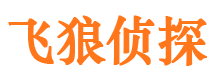 望江市婚外情调查